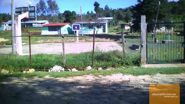 Entrada (vista previa)