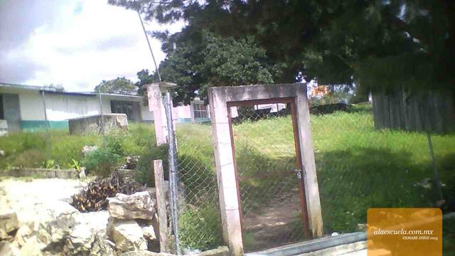 Entrada (vista previa)