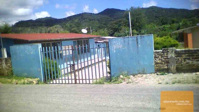 Entrada (vista previa)