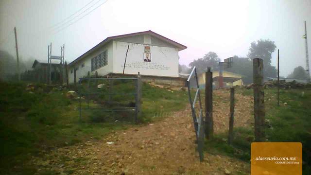 Entrada (vista previa)