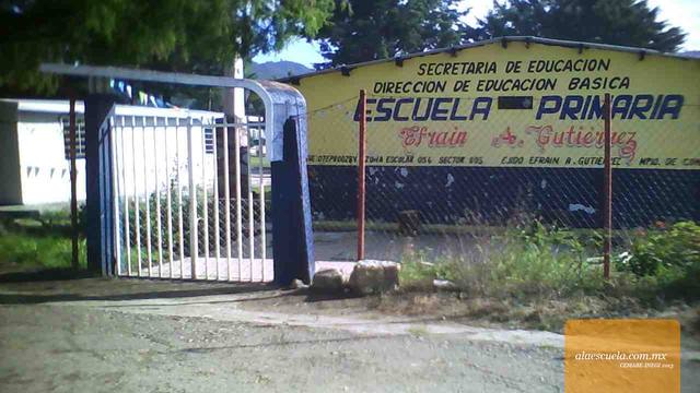 Entrada (vista previa)