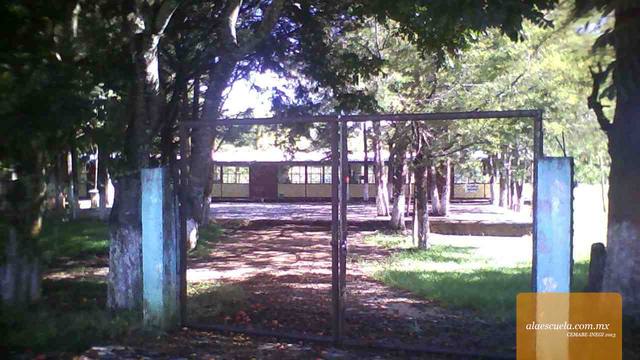 Entrada (vista previa)