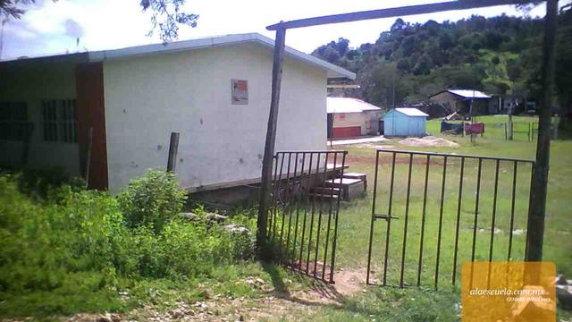 Entrada (vista previa)