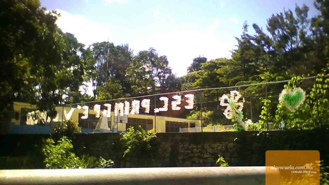 Entrada (vista previa)