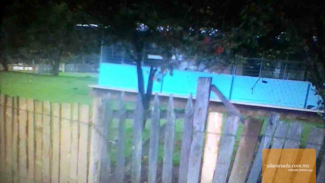 Entrada (vista previa)