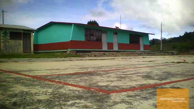 Entrada (vista previa)