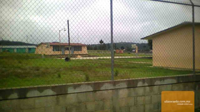 Entrada (vista previa)