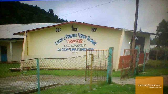 Entrada (vista previa)