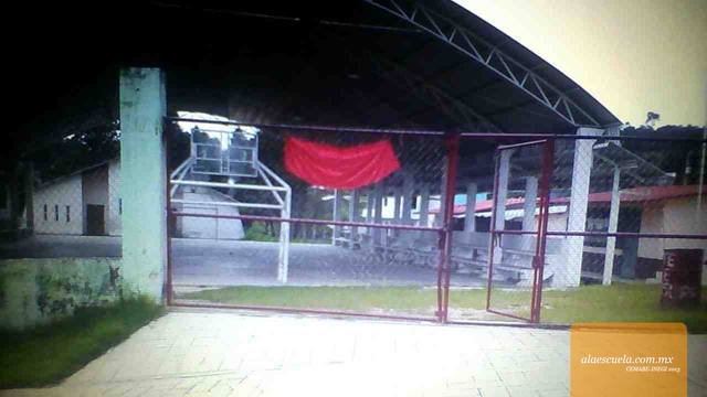 Entrada (vista previa)