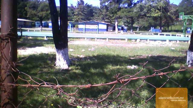 Entrada (vista previa)