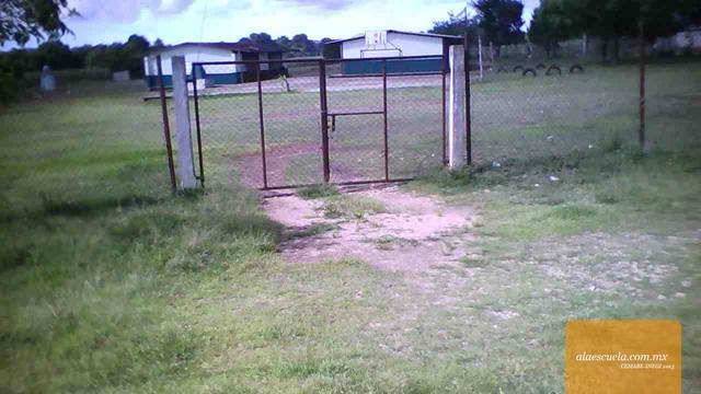 Entrada (vista previa)