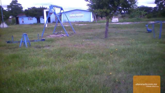 Entrada (vista previa)