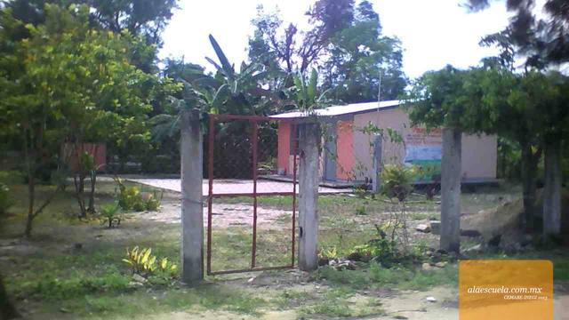 Entrada (vista previa)