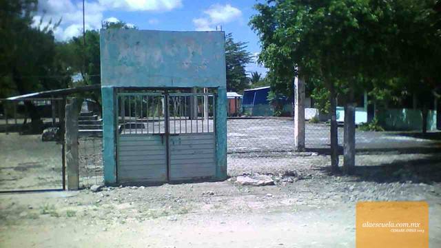 Entrada (vista previa)