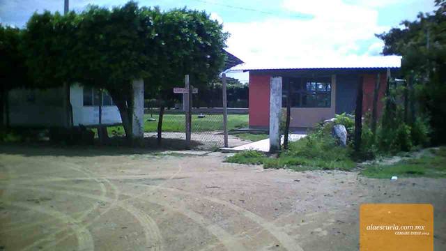 Entrada (vista previa)