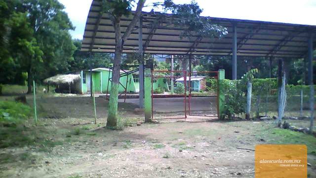 Entrada (vista previa)