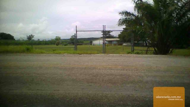 Entrada (vista previa)