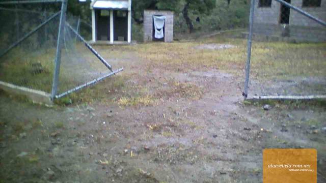 Entrada (vista previa)