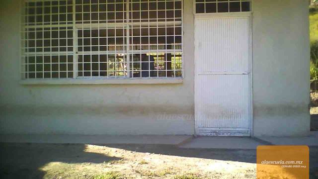 Entrada (vista previa)