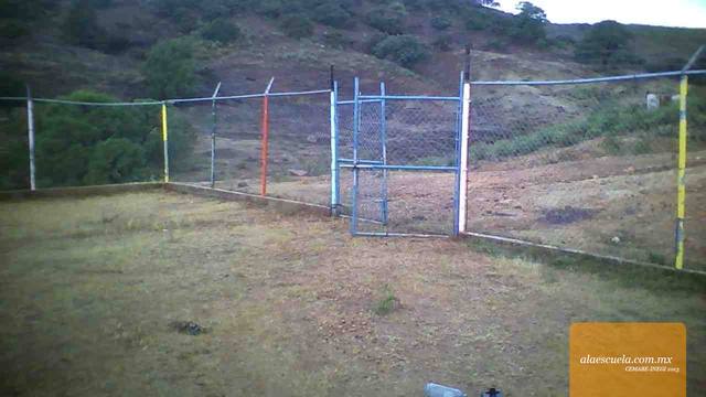 Entrada (vista previa)