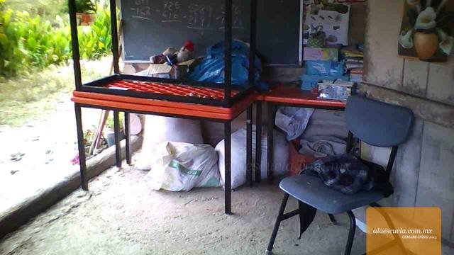 Entrada (vista previa)