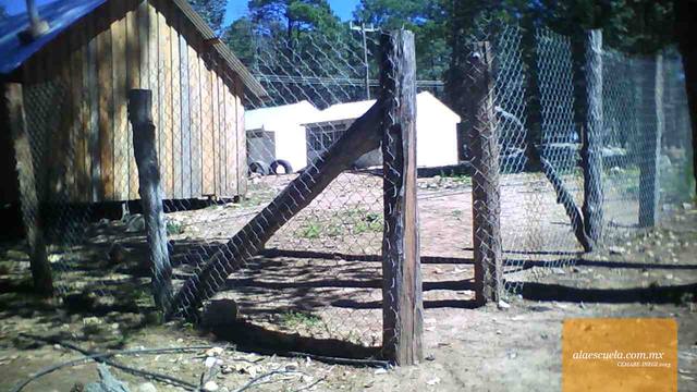 Entrada (vista previa)