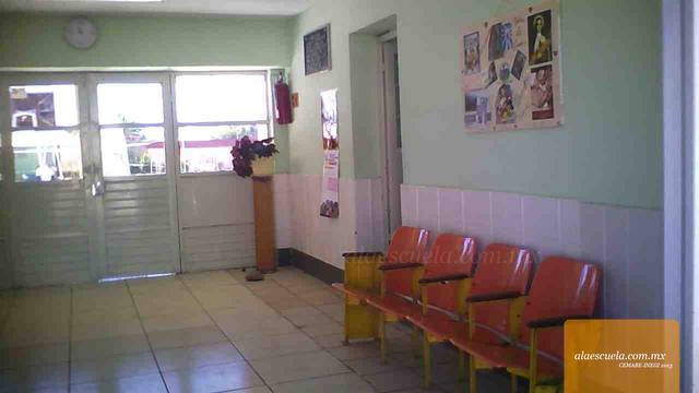 Entrada (vista previa)