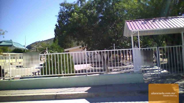 Entrada (vista previa)