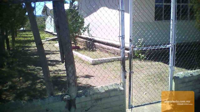 Entrada (vista previa)