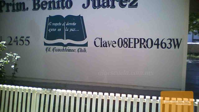 Entrada (vista previa)