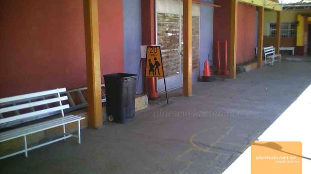 Entrada (vista previa)