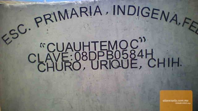 Entrada (vista previa)