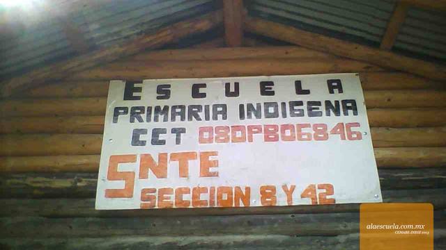 Entrada (vista previa)