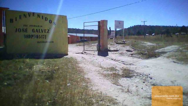 Entrada (vista previa)