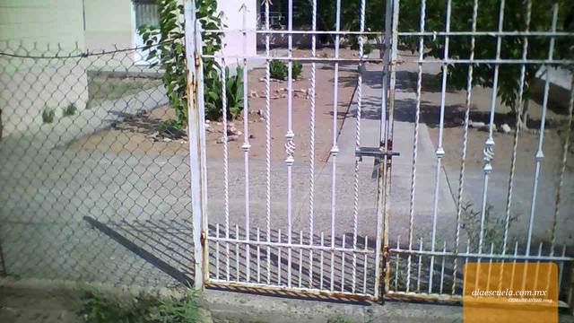 Entrada (vista previa)