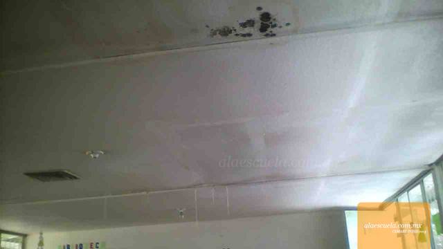 Aulas (vista previa)