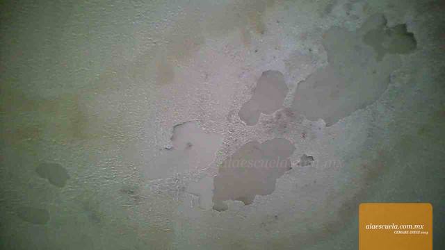 Aulas (vista previa)