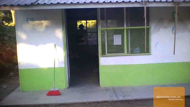 Entrada (vista previa)