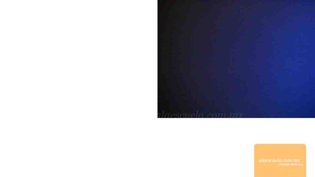 Entrada (vista previa)