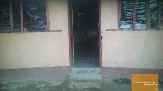 Entrada (vista previa)