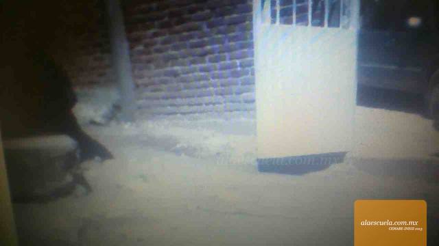 Entrada (vista previa)