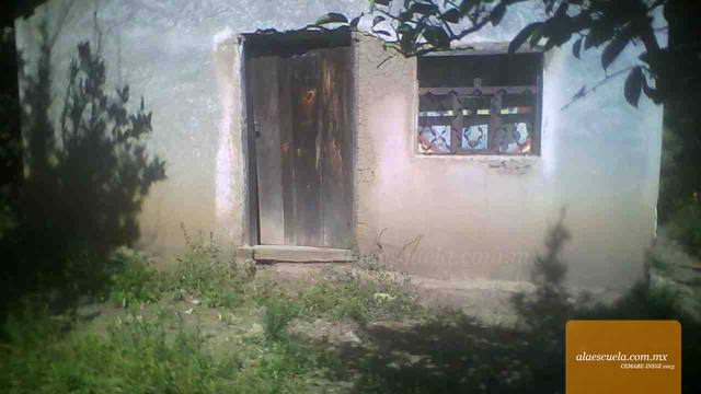 Entrada (vista previa)