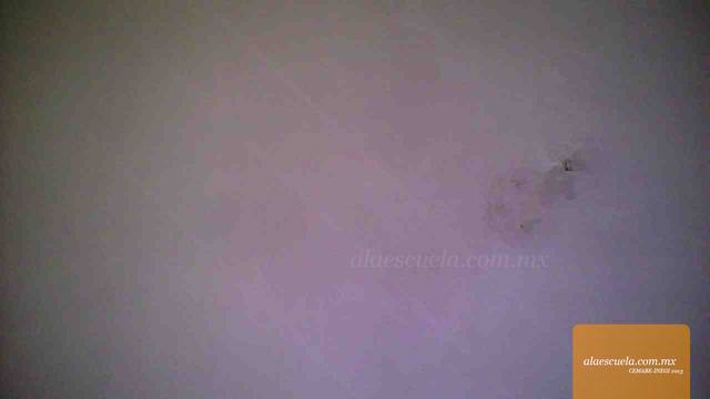 Entrada (vista previa)