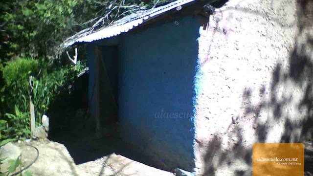 Entrada (vista previa)