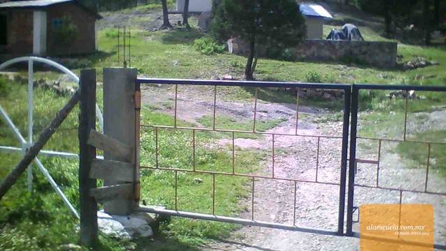 Entrada (vista previa)