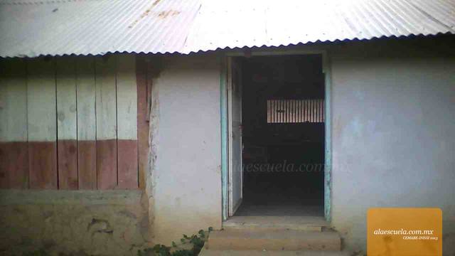 Entrada (vista previa)