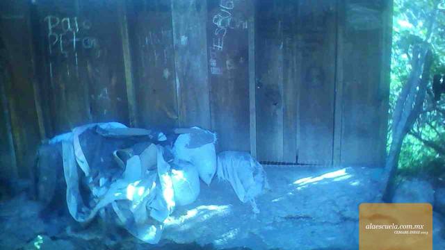 Entrada (vista previa)