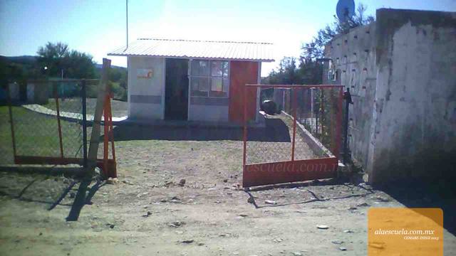 Entrada (vista previa)