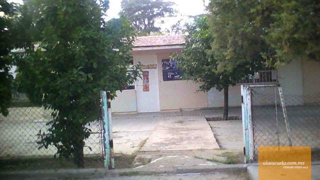 Entrada (vista previa)