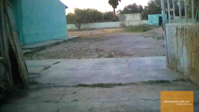 Entrada (vista previa)